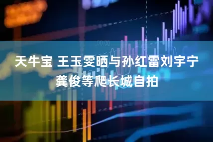 天牛宝 王玉雯晒与孙红雷刘宇宁龚俊等爬长城自拍