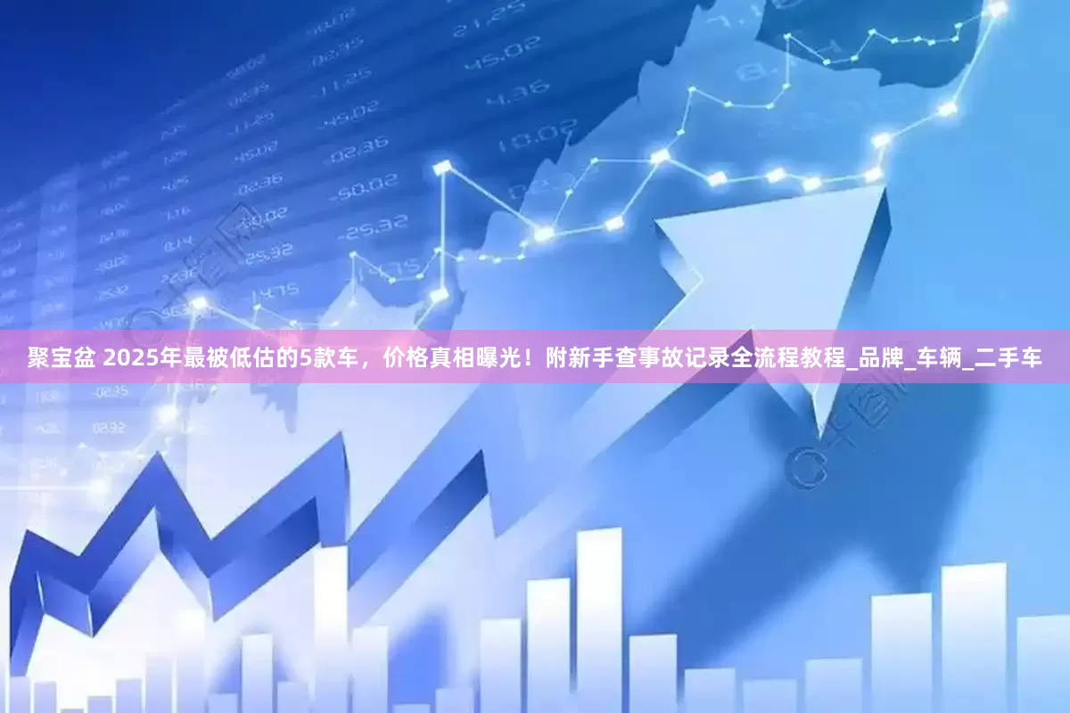 聚宝盆 2025年最被低估的5款车，价格真相曝光！附新手查事故记录全流程教程_品牌_车辆_二手车