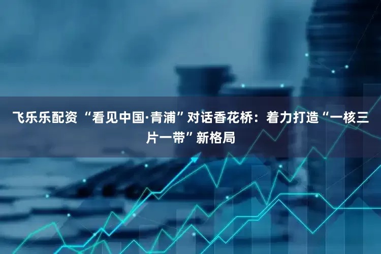 飞乐乐配资 “看见中国·青浦”对话香花桥：着力打造“一核三片一带”新格局