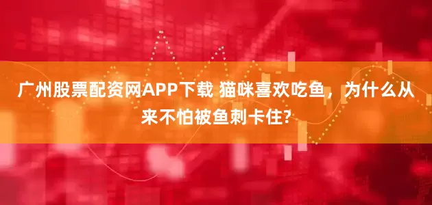 广州股票配资网APP下载 猫咪喜欢吃鱼，为什么从来不怕被鱼刺卡住?